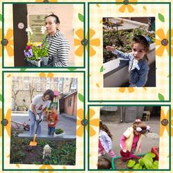 Родители, воспитанники и педагоги приняли участие в нашей акции «Посади цветочек-укрась свой уголочек»