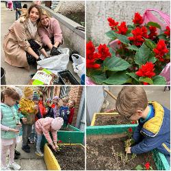 Ребята подготовительной группы 4 вместе с педагогами Ештокиной А.С. и Авраменко Т.М. посадили сегодня цветы на своём прогулочном участке.